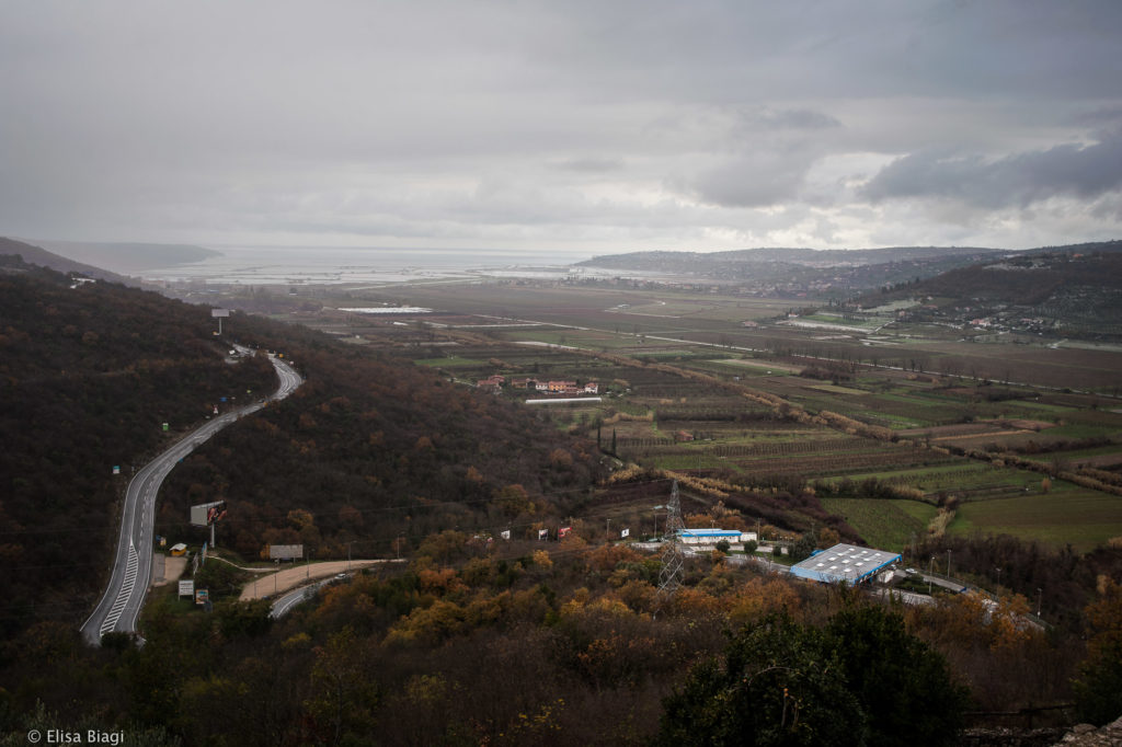 Elisa Biagi "On Moving Border"